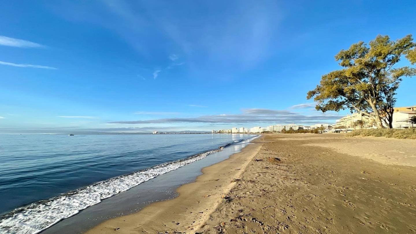 Apartamento Acogedor Con Piscina En Santa Margarita Av-21 Roses Eksteriør billede